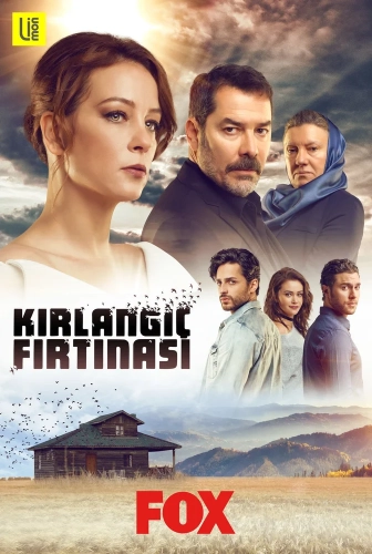 Шторм ласточки (2017) смотреть онлайн