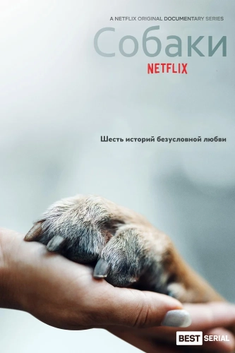 Друг человека (2018) смотреть онлайн