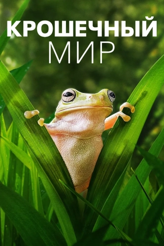 Крошечный мир (2020) смотреть онлайн