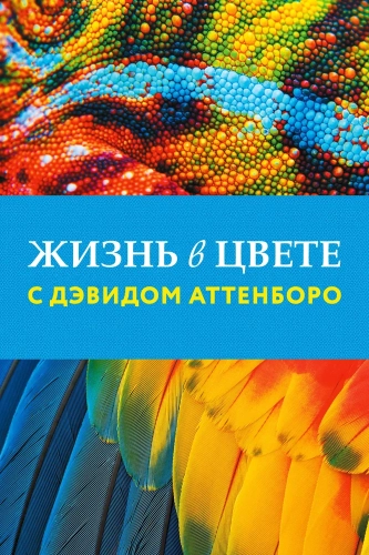 Жизнь в цвете с Дэвидом Аттенборо (2021) смотреть онлайн