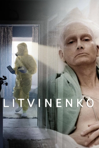 Литвиненко (2022) смотреть онлайн