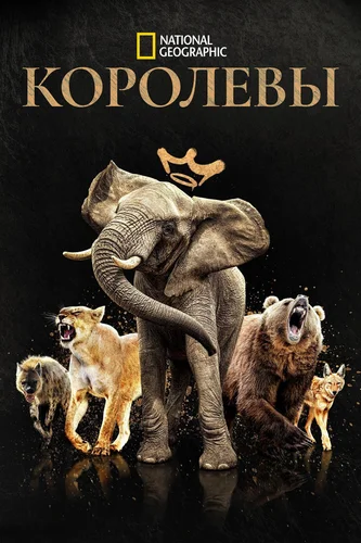 Королевы смотреть онлайн