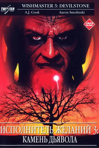 Исполнитель желаний 3: Камень Дьявола (2001) смотреть онлайн