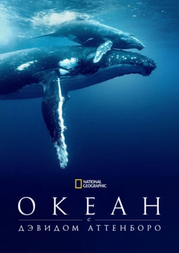 Дэвид Аттенборо: Океан (2025) смотреть онлайн