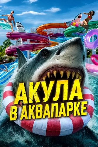Акула в аквапарке смотреть онлайн